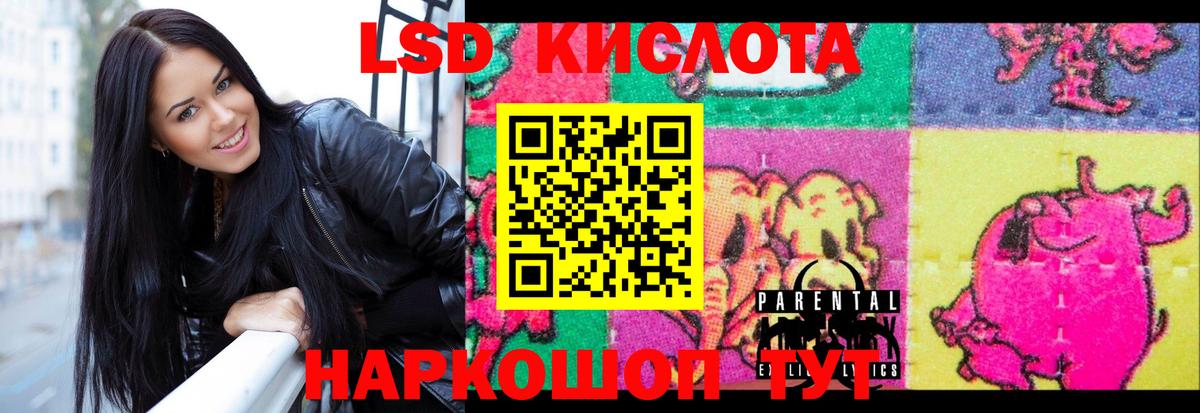 ЛСД экстази  ЛСД экстази ecstasy  Электрогорск  Вход с VPN  LSD-25 экстази ecstasy 