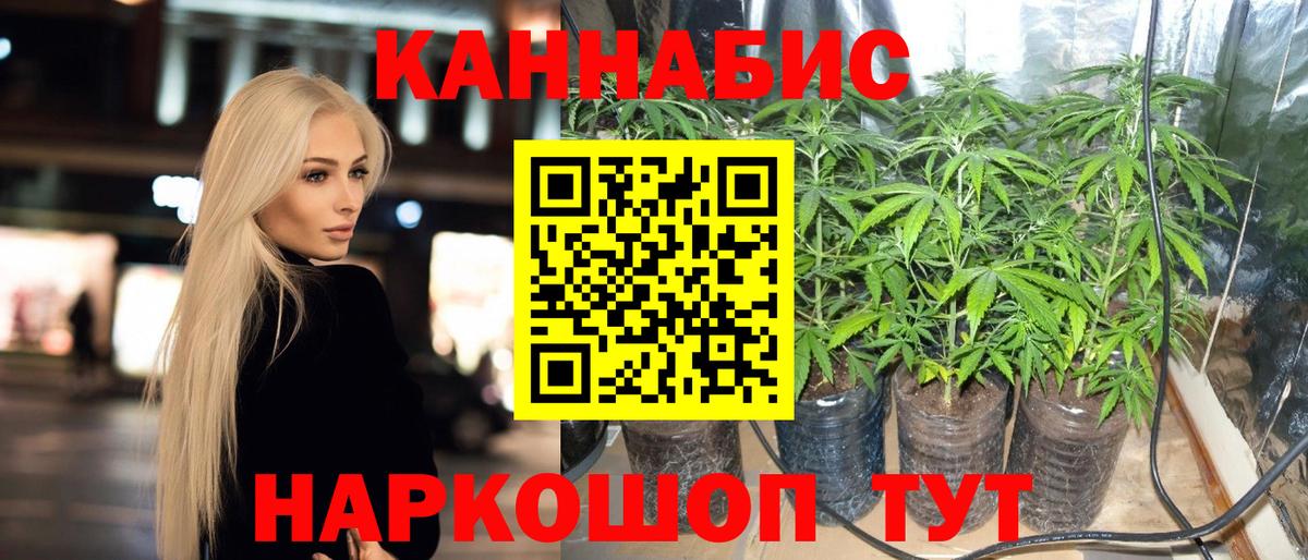 Марихуана White Widow Электрогорск